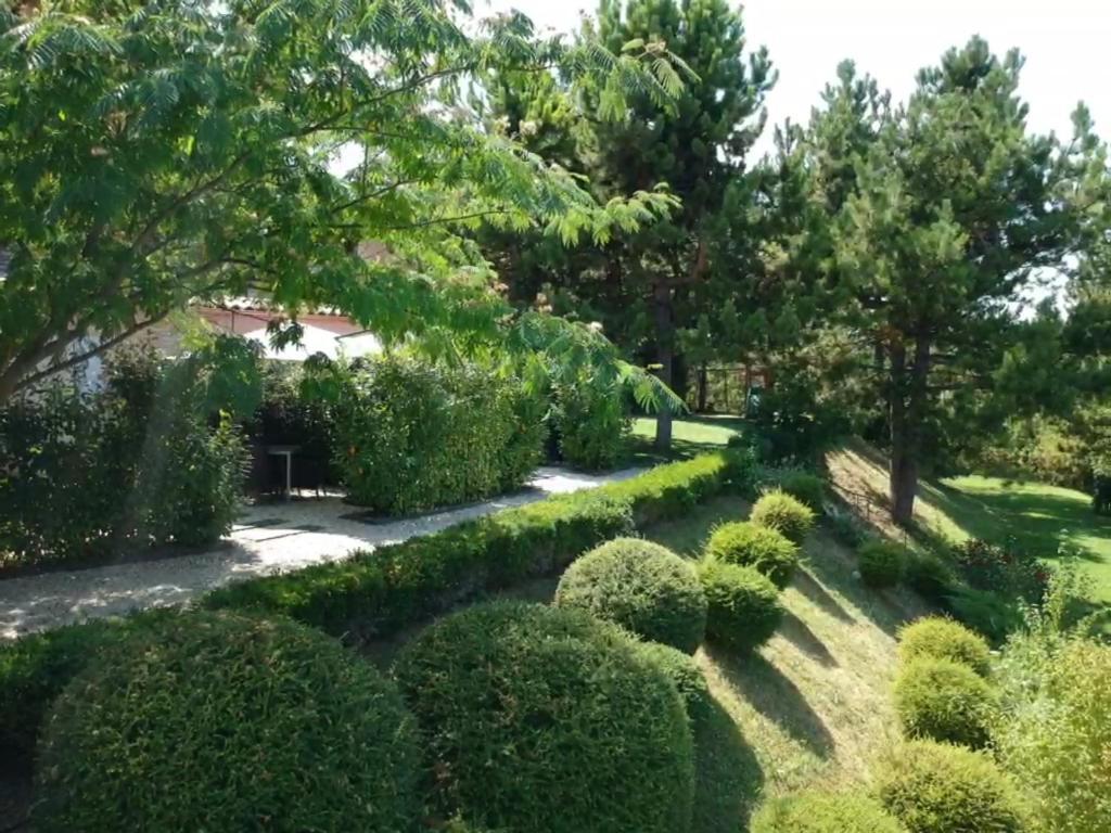 Le Jardin De Celina Bed & Breakfast Valensole Exterior foto